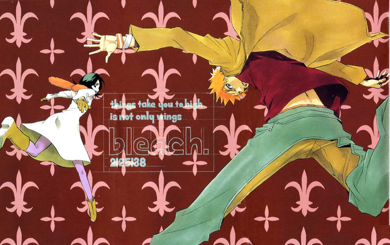 Otaku Gallery  / Anime e Manga / Bleach / Illustrazioni / 040.jpg